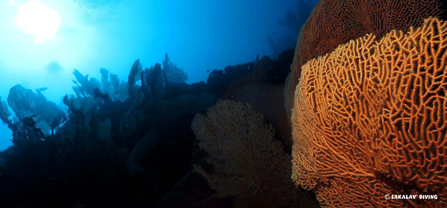 croisière sud plongée à Nosy Be